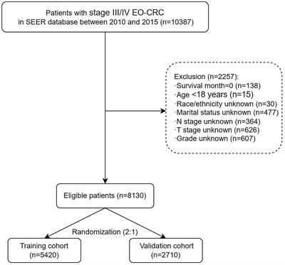 Construction and validation of a nomogram for predicting overall survival of patients with stage III/IV early−onset colorectal cancer